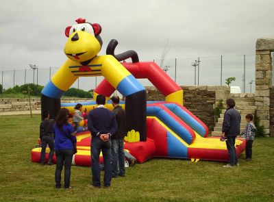 Insufláveis para festas - aniversários, casamentos, comunhão