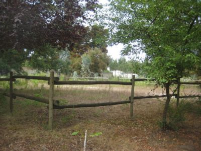 Quinta com mais de 11 mil m2 de terreno, moradia térrea, poço e cavalariça.