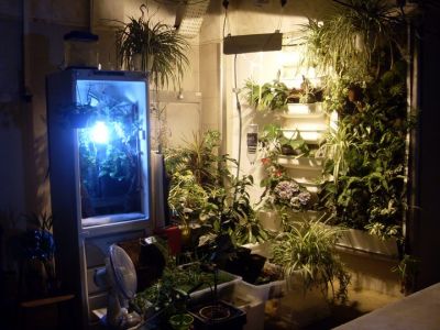 Grow, shop, Mortalhas, Filtros, Tabaco, Cultivo, Jardins, Agricultura, Tabacarias, Papelarias, 