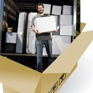 Mudanças Márcio Cruz 