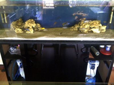 Aquario + movel + 2 filtros externos