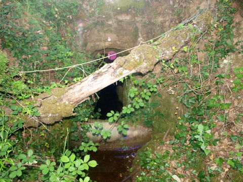 Na Costa de Prata terreno com 2 artigos. Rústico com 3880 m² e um urbano, com ruina registada com ár