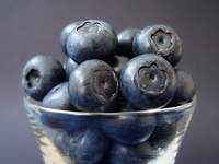 MIRTIBÉRICA – Plantas de Frutos Silvestres, Estufas Agrícolas/Garden Centers, Sistemas de Rega.