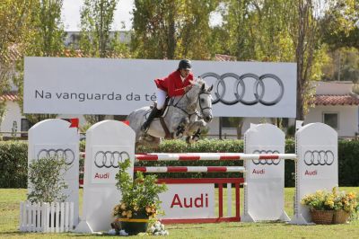 vendo cobrições de cavalo muito ganhador - optimo preço/ (saltos/dressage) 250€