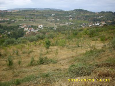 Proprieadade com Casa e terreno