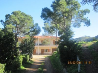 QUINTA P/ VENDA NA ZONA DE SILVES/ REF: 1353