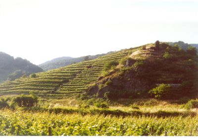 aulas de alemão ( também através do skype)