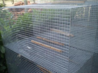 gaiolas em rede galvanizada possiblidade de entrega
