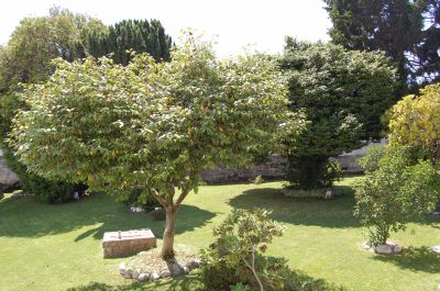 Festas de aniversário em espaço privado e com muita animação