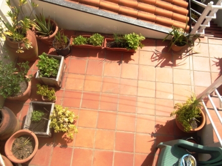 Moradia T3 Ao Fluvial