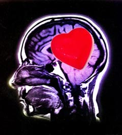 ÚLTIMAS OPORTUNIDADE COM DESCONTOS: Curso de Inteligência Emocional para Técnicos de IPSS e Privados