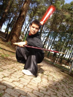 ARTES MARCIAIS CHINESAS - Kung Fu, Wushu, Tai Chi e Qigong